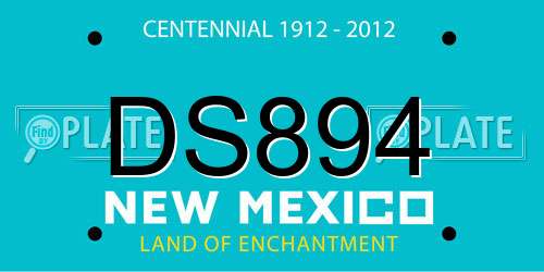 DS894 New Mexico License Plate