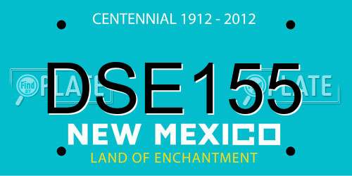 DSE155 New Mexico License Plate