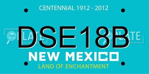 DSE18B New Mexico License Plate
