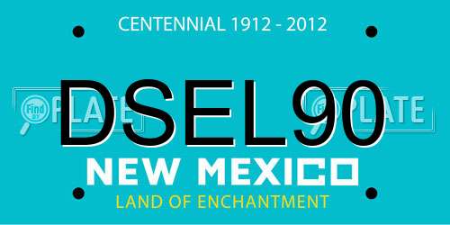 DSEL90 New Mexico License Plate