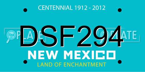 DSF294 New Mexico License Plate
