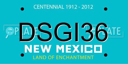 DSGI36 New Mexico License Plate