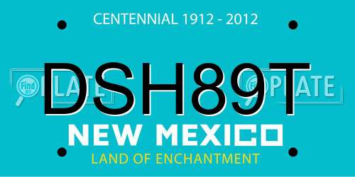DSH89T New Mexico License Plate