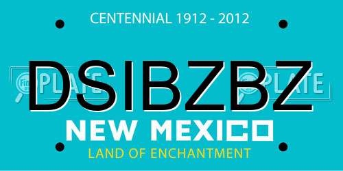 DSIBZBZ New Mexico License Plate