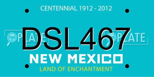 DSL467 New Mexico License Plate