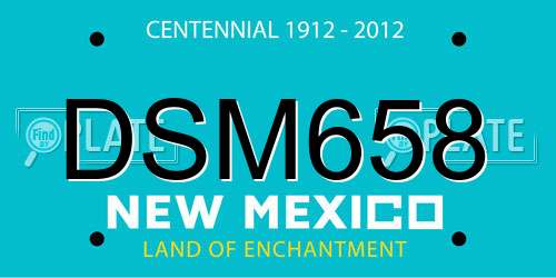 DSM658 New Mexico License Plate