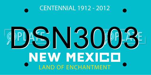 DSN3003 New Mexico License Plate