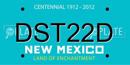 DST22D New Mexico License Plate