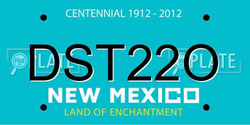 DST22O New Mexico License Plate