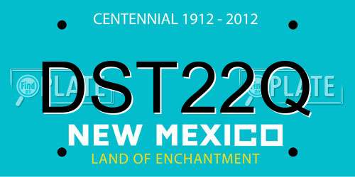 DST22Q New Mexico License Plate