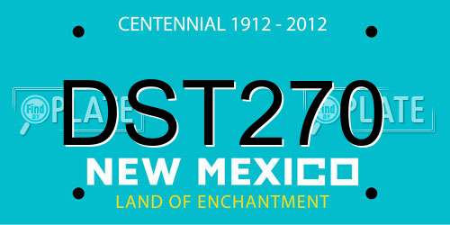 DST270 New Mexico License Plate