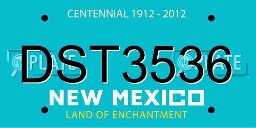 DST3536 New Mexico License Plate
