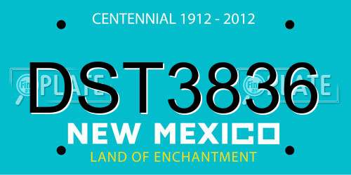 DST3836 New Mexico License Plate