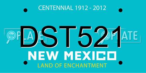 DST521 New Mexico License Plate