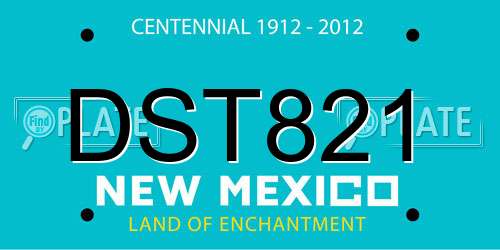 DST821 New Mexico License Plate