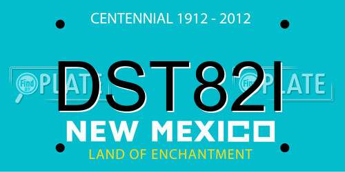 DST82I New Mexico License Plate