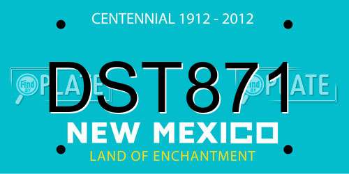 DST871 New Mexico License Plate
