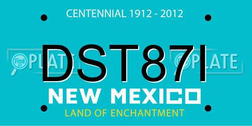 DST87I New Mexico License Plate