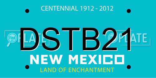 DSTB21 New Mexico License Plate