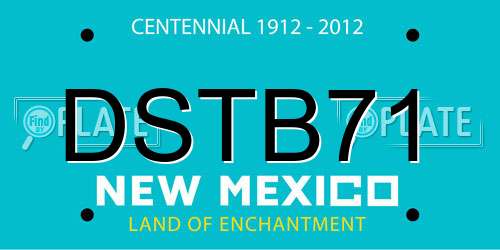 DSTB71 New Mexico License Plate