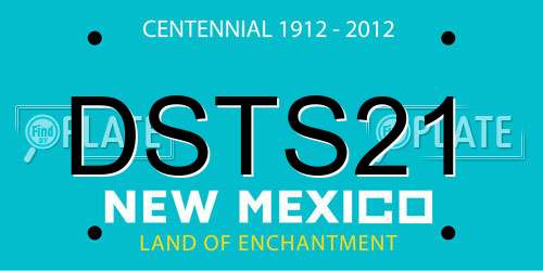 DSTS21 New Mexico License Plate