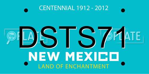 DSTS71 New Mexico License Plate