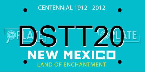 DSTT20 New Mexico License Plate