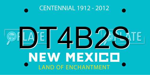 DT4B2S New Mexico License Plate
