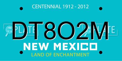 DT8O2M New Mexico License Plate