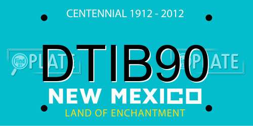 DTIB90 New Mexico License Plate