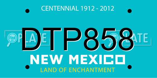 DTP858 New Mexico License Plate