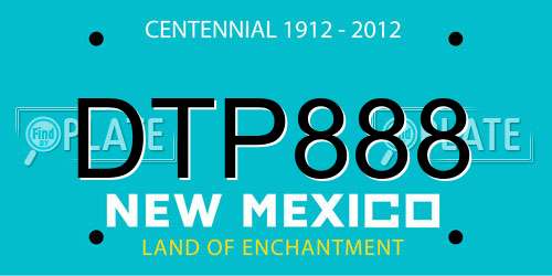 DTP888 New Mexico License Plate