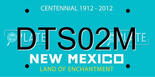 DTS02M New Mexico License Plate