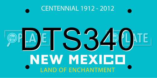 DTS340 New Mexico License Plate