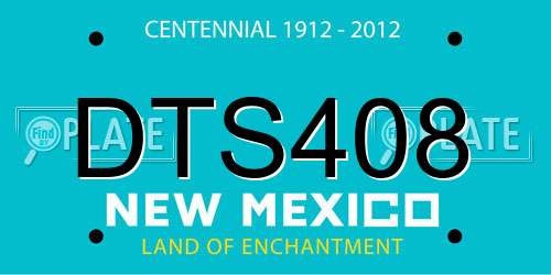 DTS408 New Mexico License Plate
