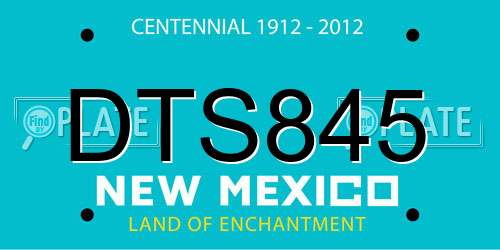 DTS845 New Mexico License Plate
