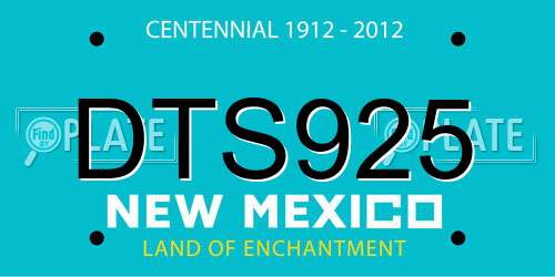 DTS925 New Mexico License Plate