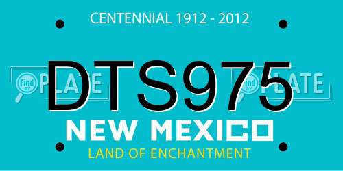 DTS975 New Mexico License Plate