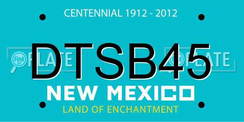 DTSB45 New Mexico License Plate