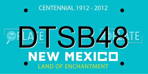 DTSB48 New Mexico License Plate