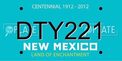 DTY221 New Mexico License Plate