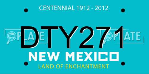 DTY271 New Mexico License Plate
