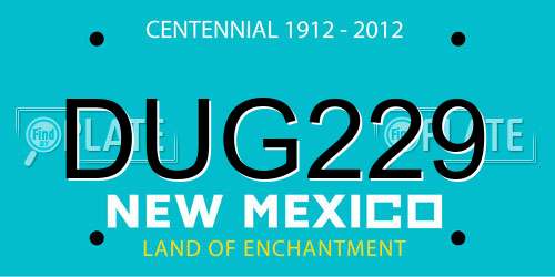 DUG229 New Mexico License Plate