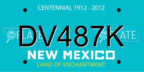 DV487K New Mexico License Plate