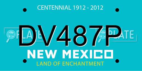 DV487P New Mexico License Plate