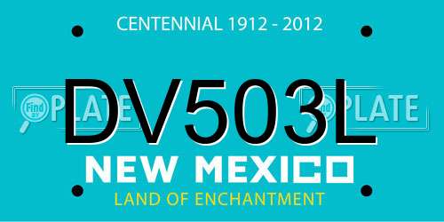 DV503L New Mexico License Plate