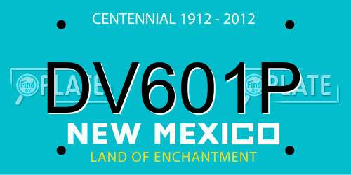 DV601P New Mexico License Plate