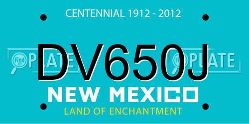 DV650J New Mexico License Plate
