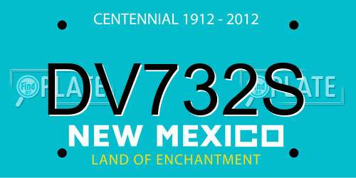 DV732S New Mexico License Plate