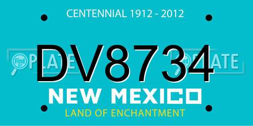 DV8734 New Mexico License Plate